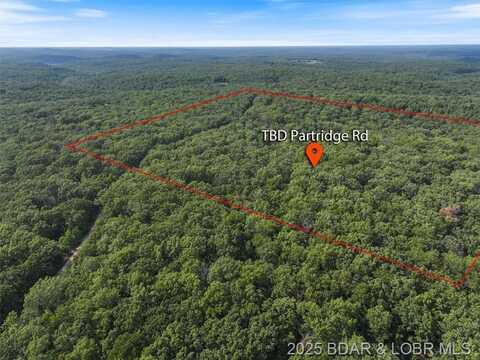 40 Acres Partridge Drive, Climax Springs, MO 65324