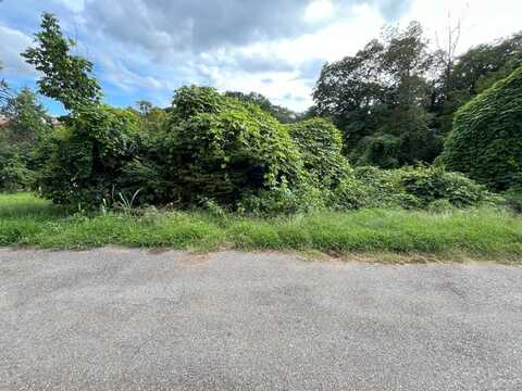 213 Dabney Street, Lynchburg, VA 24504