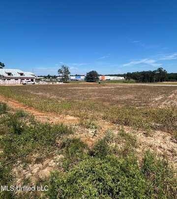 Old 63 S Parcel 2, Lucedale, MS 39452