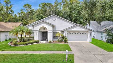 undefined, TAMPA, FL 33647