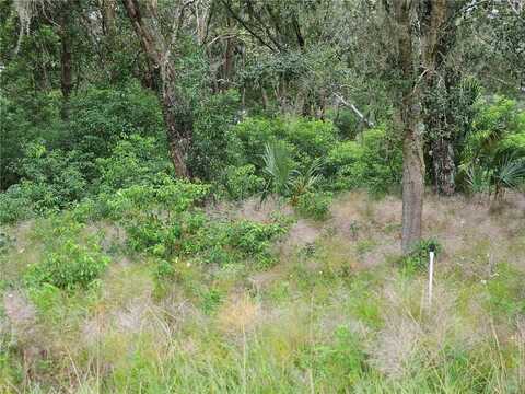 BLACKBURN ROAD, PIERSON, FL 32180