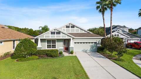8120 CAMELLA LANE, TAMPA, FL 33647