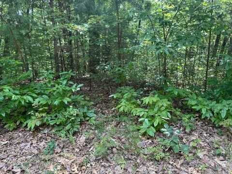 14 Abbott Mill Road, Ellijay, GA 30540