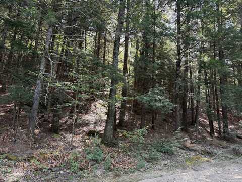 000 Smith Road, Holderness, NH 03245