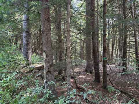 000 Smith Road, Holderness, NH 03245