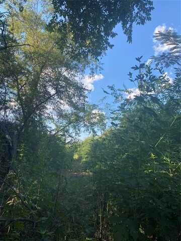 Lot 42 Harris, Sulphur Springs, TX 75482