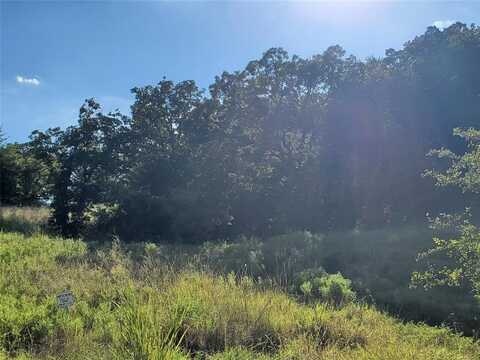 Lot 445 Ranchview Court, Bowie, TX 76230