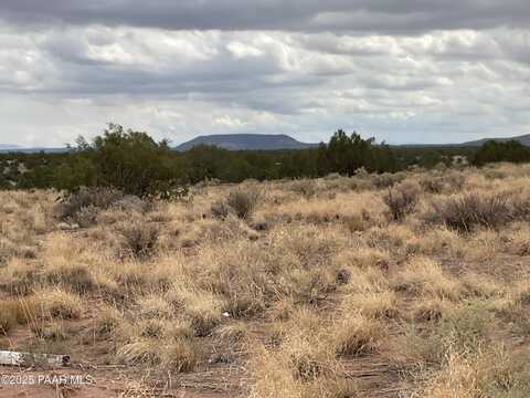 Lot 4 Ranch Of The White Mountains, Concho, AZ 85924