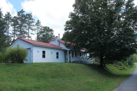 327 Algerine St, Afton, NY 13730