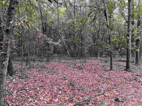 Lot 16 Pineview Church Rd, Jay, FL 32565
