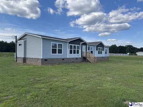 2944 Lamar Hwy, Darlington, SC 29532