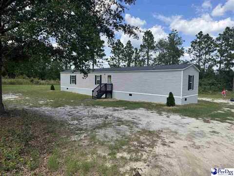 2525 Persimmons Drive, Hartsville, SC 29550