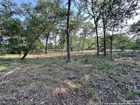 1680 Maldonado, La Vernia, TX 78121