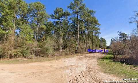 Lot 16 Mayhaw Ln, Plantersville, TX 77363