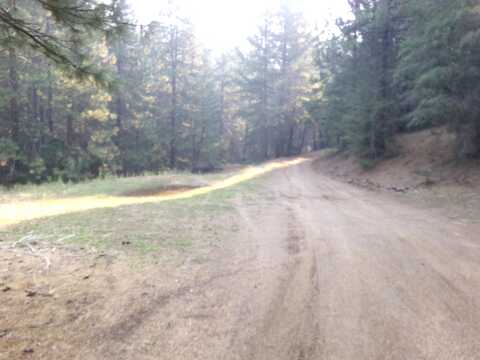 XTZ McAdams Ck Rd, Fort Jones, CA 96032