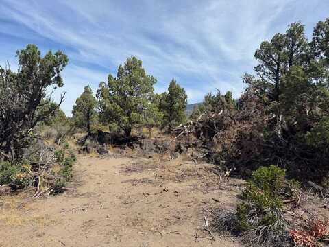Blk 19 Lot 4 Placone Dr, Montague, CA 96064