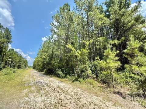 1 Firetower Road, Ludowici, GA 31316