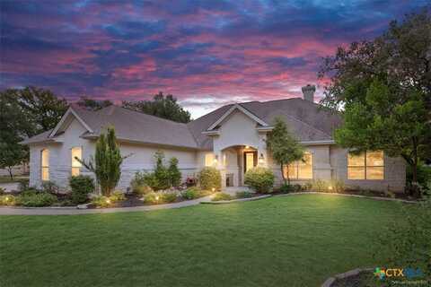 521 Buena Vista Drive, Georgetown, TX 78633