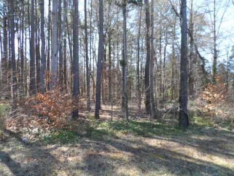 Lot 6 Stripers Cove Lane, Clarksville, VA 23927