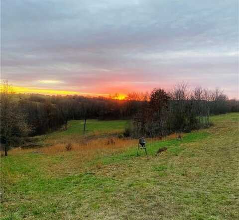 TBD Carroll CR 818 RD, Green Forest, AR 72638