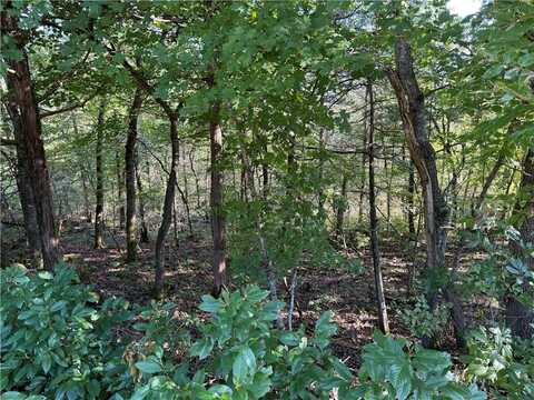 6 Puma LN, Holiday Island, AR 72631