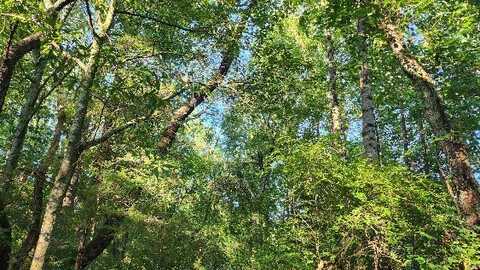 0.85 Acres Aaron Sloan Drive, Seneca, SC 29678