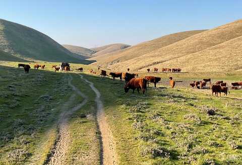 0 Woody Road, Woody, CA 93287