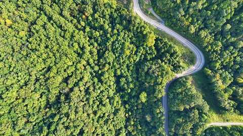 Huff Mountain, CYCLONE, WV 24827