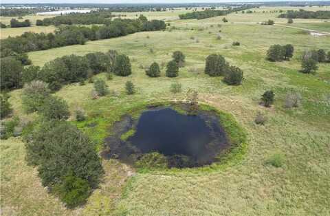 0 FM 387 Farm to Market Road, Marquez, TX 77865