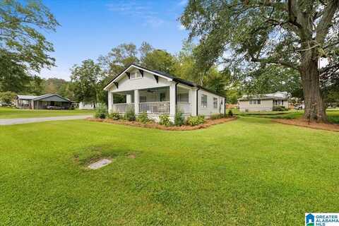 18 WILSON STREET, SPRINGVILLE, AL 35146