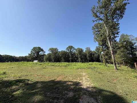 0 COUNTY ROAD 776, MONTEVALLO, AL 35115
