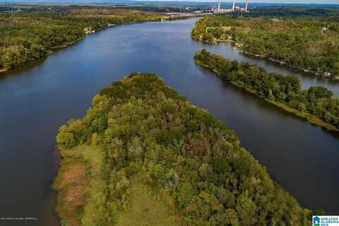 1 FRIENDLY ISLAND, WILSONVILLE, AL 35186