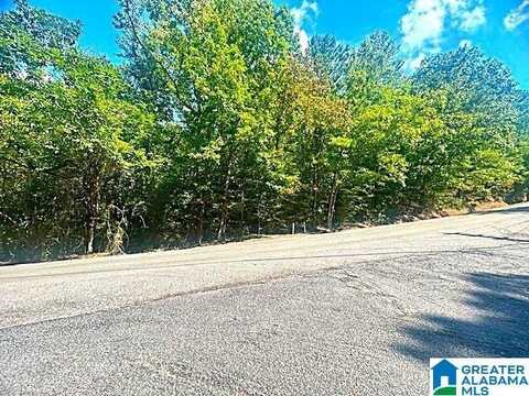 2556 SMITH SIMS ROAD, TRUSSVILLE, GA 35173
