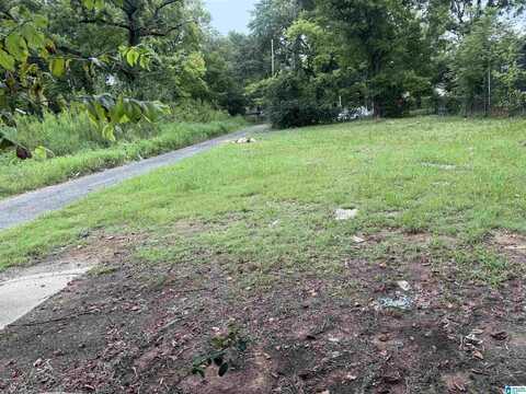 1233 WOODLAND AVENUE, BIRMINGHAM, AL 35211