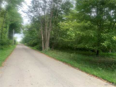 84 Railroad Avenue, Evans, NY 14006
