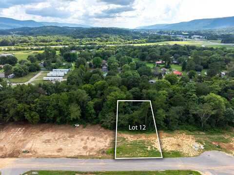 381 Angel Oak Drive, Dunlap, TN 37327