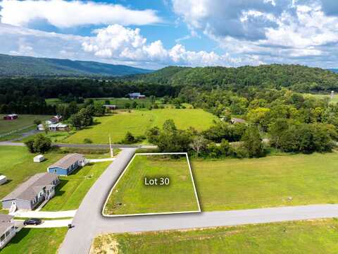 226 Bear Oak Drive, Dunlap, TN 37327
