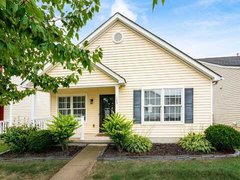 113 Feathertip Lane, Lewis Center, OH 43035