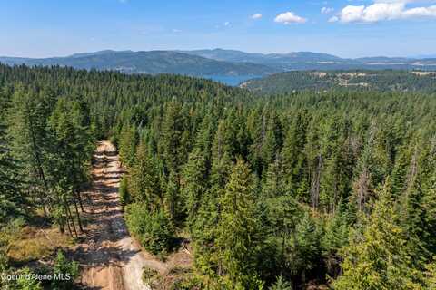 2300 S DUNLAP RD, Harrison, ID 83833