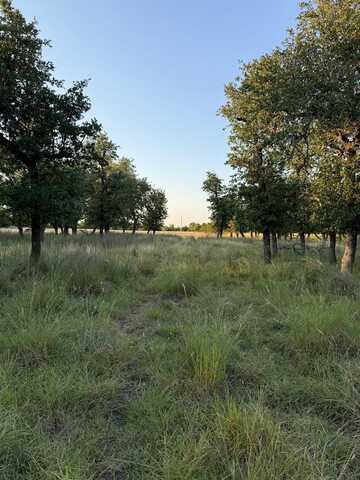 0 N Gretchen Grove Ln, Fredericksburg, TX 78624