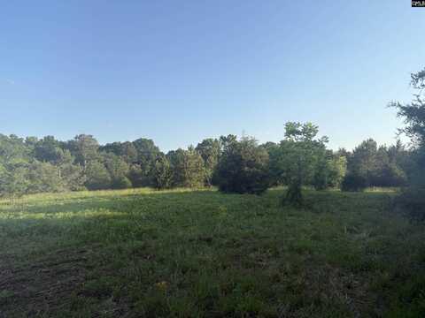 0 Elgain Cockrell Road, Saluda, SC 29138