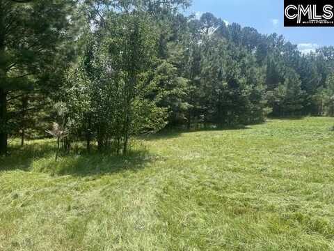 0 Elgain Cockrell Road, Saluda, SC 29138