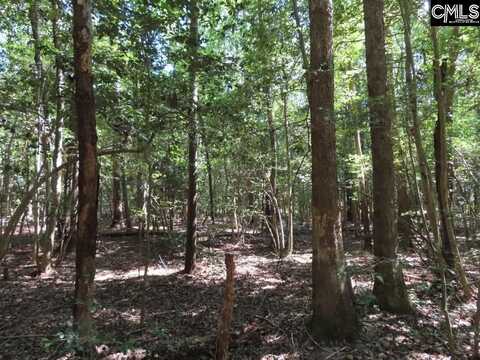 1672 Dixired Road, Leesville, SC 29070