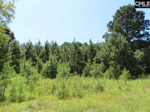 175 Prioleau Road, Hopkins, SC 29061