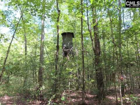 0 Holy Trinity Church Road, Little Mountain, SC 29075