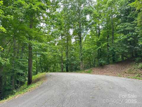 Ruffed Grouse Lane, Waynesville, NC 28786
