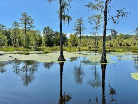 29 Acres E College Avenue, Slocomb, AL 36375