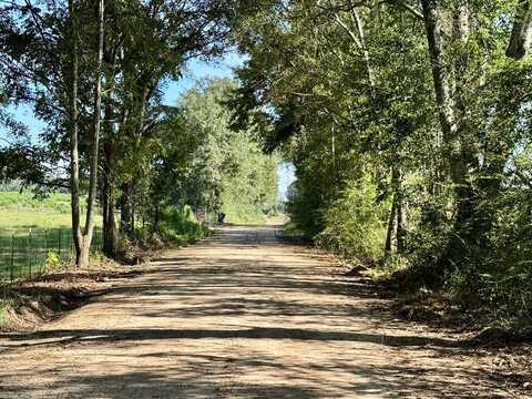 130 Acres Tindil Creek/Grant Road, Slocomb, AL 36375