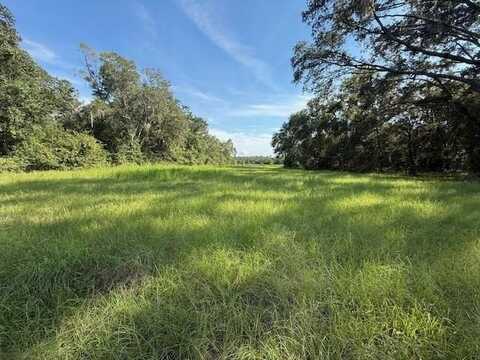 TBD 126th St, Bronson, FL 32621
