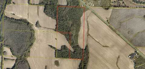 60.95 Acre US Hwy 331 N, DeFuniak Springs, FL 32433
